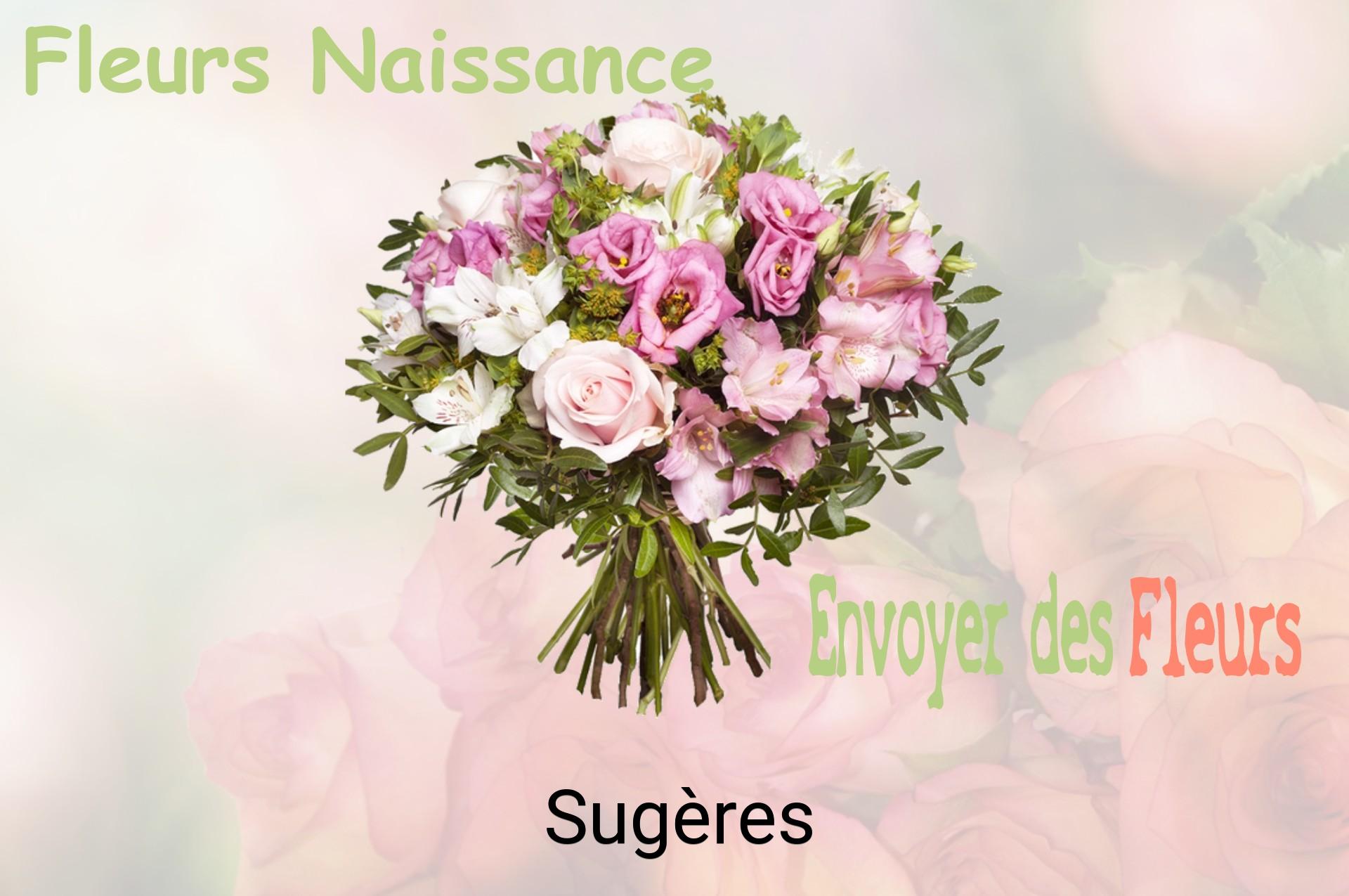Bouquet de fleurs de naissance livré à Sugères